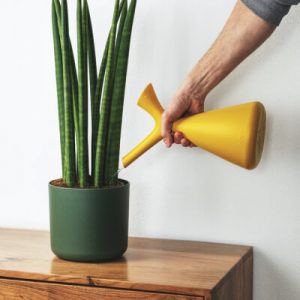 Tentang Plants Store Gallery Img 2 300x300 1