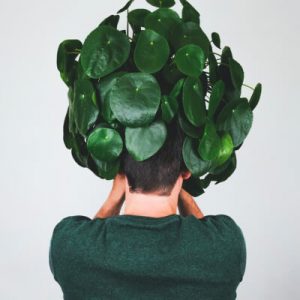 Tentang Plants Store Gallery Img 3 300x300 1