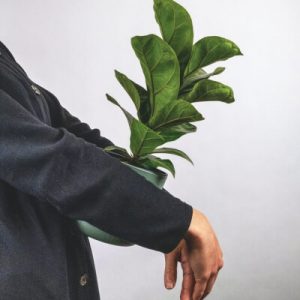 Tentang Plants Store Gallery Img 6 300x300 1